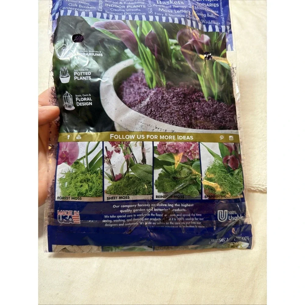 2oz of Soft, Vibrant Purple Reindeer Moss - A Delight for Eco-Conscious Crafters